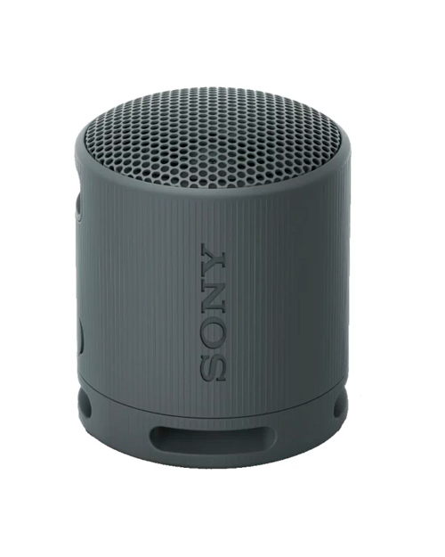   Портативная колонка Sony SRS-XB100/BCE