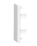 Legrand 030290 DLPLЗаглушка торц. к-к 60х20