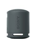 Портативная колонка Sony SRS-XB100/BCE