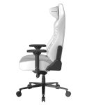 Игровое компьютерное кресло DXRacer Craft Standard F-23-Thinker GC/LCF23LTA