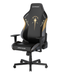 Игровое компьютерное кресло DXRacer Drifting WESTARTEDTHIS