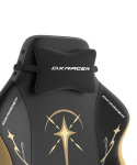 Игровое компьютерное кресло DXRacer Drifting WESTARTEDTHIS