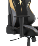 Игровое компьютерное кресло DXRacer Drifting WESTARTEDTHIS