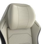 Игровое компьютерное кресло DXRacer Master White&Black GC/XLMF24LTA/WN