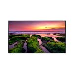 Профессиональный дисплей Samsung 65" LH65QBBEBGCXCI