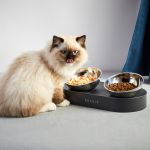 Миски для питомцев PETKIT FRESH NANO DOUBLE 15° ADJUSTABLE PET BOWL