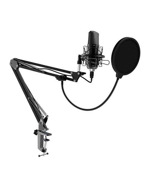 RITMIX  Микрофон  RDM-169 черный